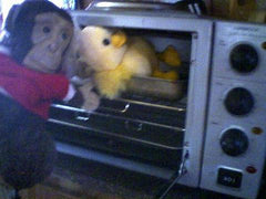 Monkey